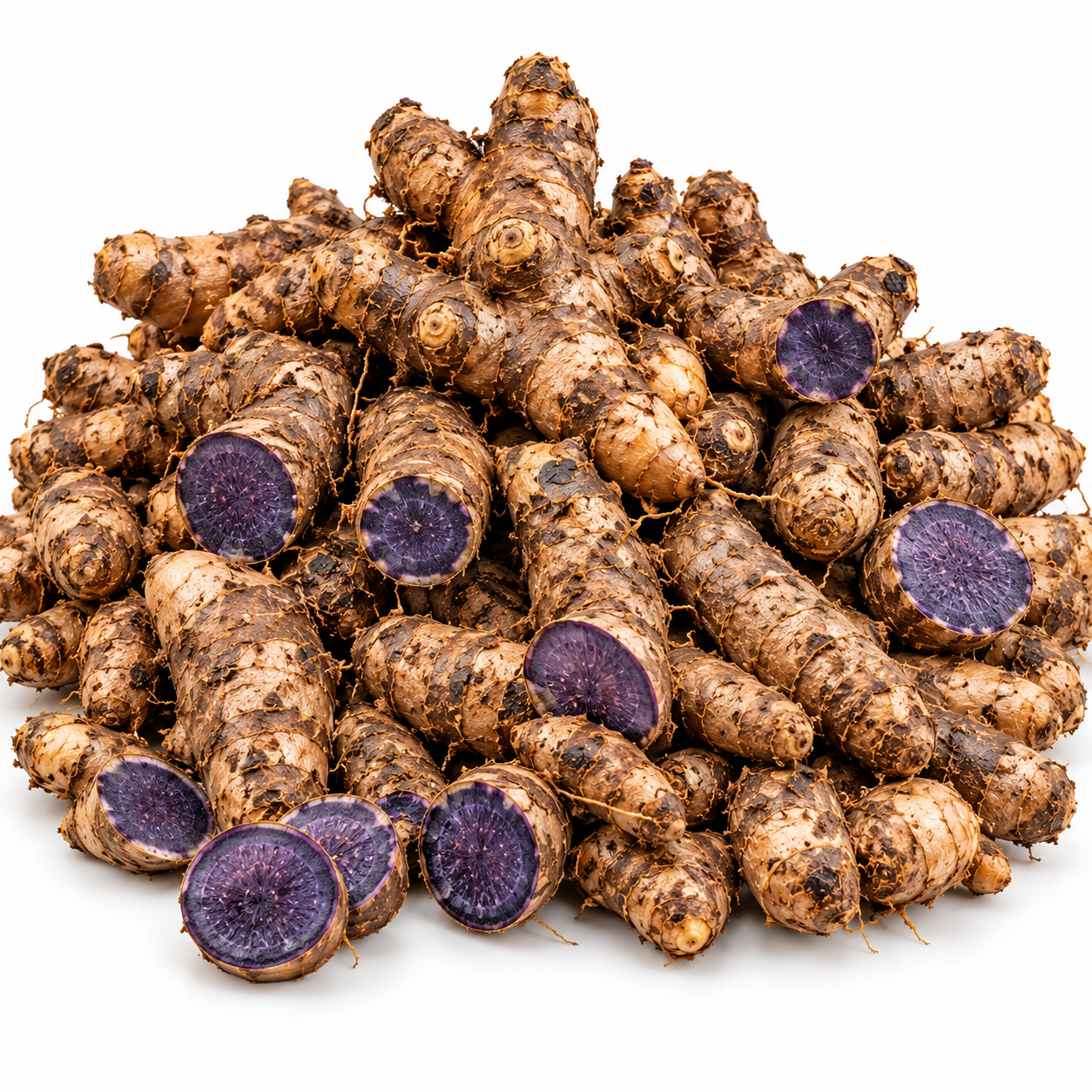 Organic Black Turmeric Rhizomes from Sindhudurg Konkan | Rare Variety, Limited Stock, Sprouting Rhizomes, Blue-Purple Interior, Konkan Region